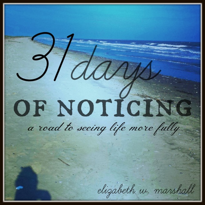 31 days of notiing